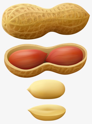 Imagen ilustrativa de 